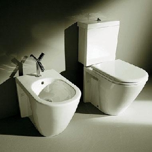 Wc Starck2