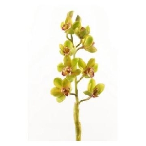 Flori Artificiale Cymbidium tija Green