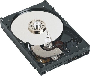 Western Digital WD1001FALS