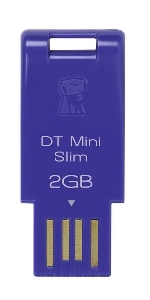 Kingston DTMSB/2GB