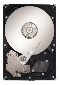 Seagate ST3160813AS