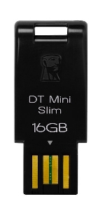 Kingston DTMS/16GB