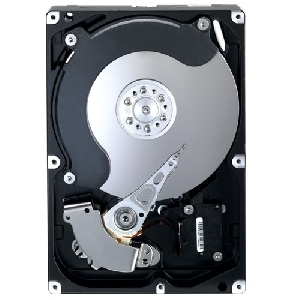 HDD Samsung SpinPoint F 500GB, 7200rpm, 16MB, SATA 2