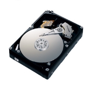 HDD Samsung Enterprise SpinPoint F1 RAID 640GB, 7200rpm, 16MB, SATA 2