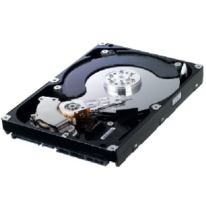 HDD Samsung SpinPoint 80GB, 7200rpm, 8MB, SATA 2