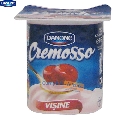 Iaurt Danone Cremosso cu visine 125 gr