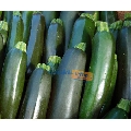 Zucchini kilogram