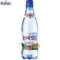 Apa minerala carbogazoasa Borsec 0.5 L