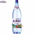 Apa minerala carbogazoasa Borsec 1.5 L