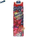 Suc natural fructe de padure 30% Santal 1 L