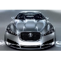 Jaguar C-XF (45 x 30 cm)