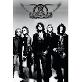 Aerosmith 2 (30 x 45 cm)