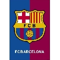 FC Barcelona (30 x 45 cm)