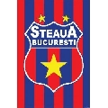 FC Steaua (30 x 45 cm)