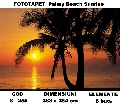 Fototapet Palmy Beach Sunrise cod 8-255