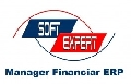 Manager Financiar ERP