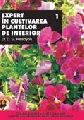 EXPERT IN CULTIVAREA PLANTELOR DE INTERIOR - VOL I