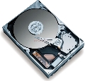 Maxtor - HDD Desktop DiamondMax 22, 160GB, SATA II 300