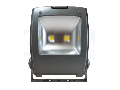 Proiector LED cu carcasa vopsita in camp electrostatic R-SMDP-100W 100-240 VAC, 100 W, 8000 lm, 4500 K, 50000 h, EEI=A