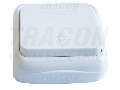 Buton cu pictograma iluminat, pe tencuiala (pentru tapet) TTK-04L 10AX/250VAC, IP20 (N101)