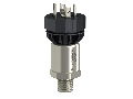 Transmitator De Presiune 30Psi - 0 - 10V - 1/4-18Npt Tata - Fpm - Din