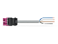 pre-assembled connecting cable; Eca; Plug/open-ended; 4-pole; Cod. B; Control cable 4 x 1.0 mm²; 1 m; 1,00 mm²; pink