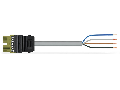 pre-assembled connecting cable; Eca; Plug/open-ended; 4-pole; Cod. B; Control cable 4 x 1.0 mm; 1 m; 1,00 mm; light green