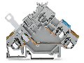 2-conductor actuator terminal block; with colored conductor entries; 2.5 mm; CAGE CLAMP; 2,50 mm; gray