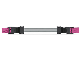 pre-assembled interconnecting cable; Eca; Socket/plug; 4-pole; Cod. B; Control cable 4 x 1.0 mm²; 3 m; 1,00 mm²; pink