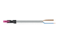 pre-assembled connecting cable; Eca; Plug/open-ended; 2-pole; Cod. B; Control cable 2 x 1.0 mm²; 3 m; 1,00 mm²; pink