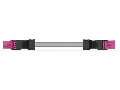 pre-assembled interconnecting cable; Eca; Socket/plug; 4-pole; Cod. B; Control cable 4 x 1.5 mm²; 8 m; 1,50 mm²; pink