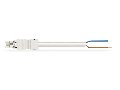 pre-assembled connecting cable; Eca; Socket/open-ended; 2-pole; Cod. A; H05Z1Z1-F 2 x 2.5 mm; 5 m; 2,50 mm; white