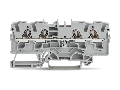 4-conductor through terminal block; 4 mm²; suitable for Ex e II applications; side and center marking; for DIN-rail 35 x 15 and 35 x 7.5; Push-in CAGE CLAMP®; 4,00 mm²; gray