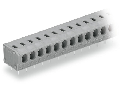 PCB terminal block; 2.5 mm²; Pin spacing 5/5.08 mm; 2-pole; PUSH WIRE®; 2,50 mm²; gray