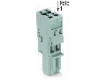 1-conductor female plug; 4 mm; 2-pole; 4,00 mm; gray