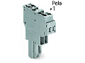 2-conductor female connector; 4 mm; 4-pole; 4,00 mm; gray