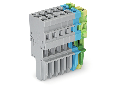 1-conductor female plug; 4 mm; 7-pole; 4,00 mm; gray, blue, green-yellow