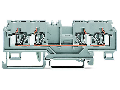 4-conductor through terminal block; 4 mm; with test port; without shield contact; center marking; for DIN-rail 35 x 15 and 35 x 7.5; CAGE CLAMP; 4,00 mm; orange