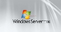 MicroSoft - Windows Server CAL 2008